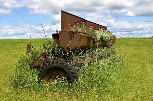 Staré zrno vrtačky seedbox plné květin — Stock fotografie