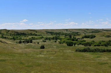 Küçük bir mezarlık açığa Vadisi