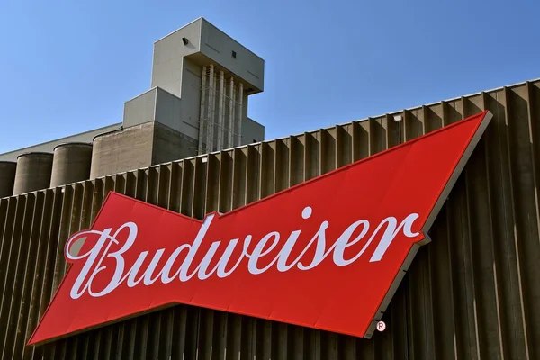 Пиво Budweiser вагона і Напівфабрикати — стокове фото