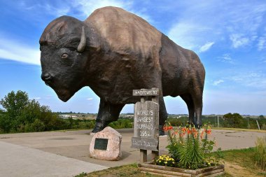 Dakota Thunder, largest buffalo in Jamestown, ND clipart