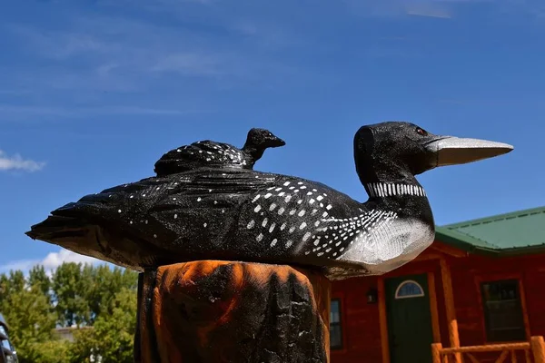 Chainsaw carvings of a pair of loons — Stock Photo, Image