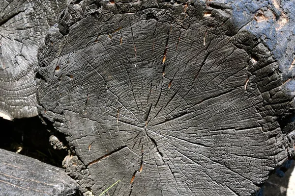 Grumes de bois carbonisé après un incendie — Photo