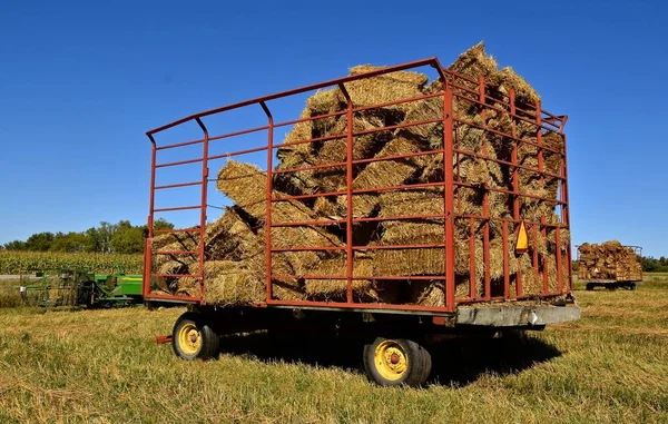 Zatížení vozu balíků z bale thrower — Stock fotografie