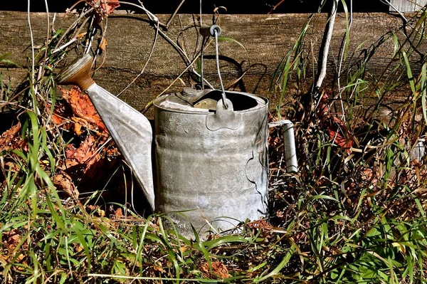 Cantainer de rociado de agua vieja para regar palnts — Foto de Stock