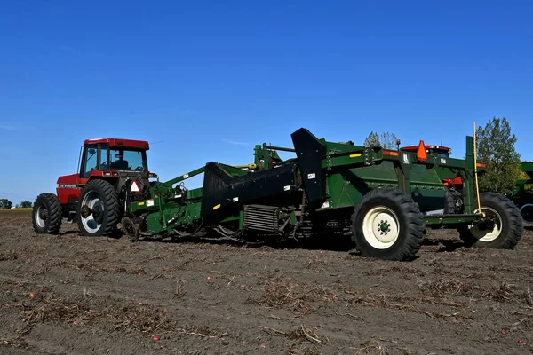 New Case IH tractor and potato picker — Stock Photo, Image