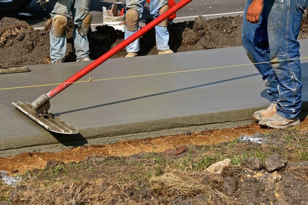 Бык плавает на краю тротуара из мокрого цемента
