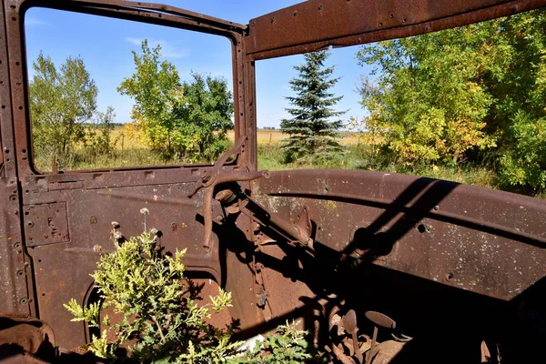 Las malas hierbas crecen en la cabina de un viejo automóvil oxidado — Foto de Stock