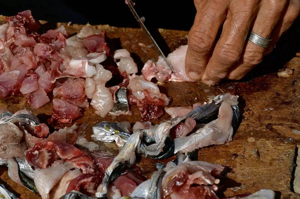 Corte de peixe em isca de pesca — Fotografia de Stock