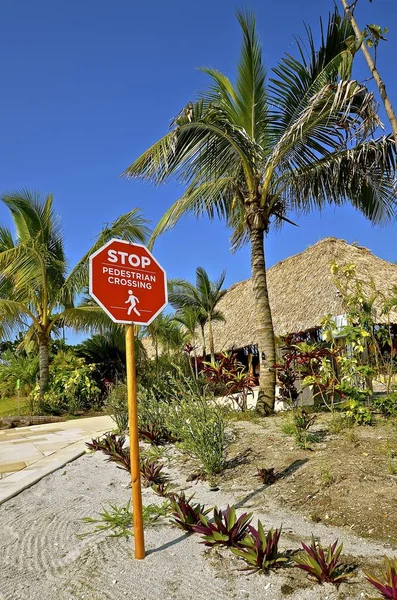 Señal de stop para peatones en un entorno tropical — Foto de Stock
