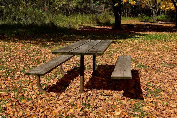 Tavolo da picnic in mezzo alle foglie autunnali — Foto Stock