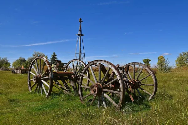 Wild flowers growing in steering wheel of old road grader — Stock Photo, Image