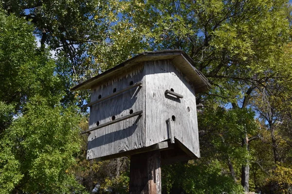 Hatalmas régi lakás birdhouse — Stock Fotó