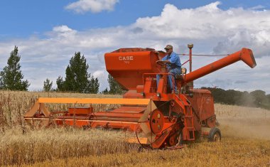 Rollag, Minnesota, Eylül 2. 2017: eski bir davayı kendinden tahrikli birleştirmek alan gösteriler nerede 1000 katılmak her İşçi Bayramı hafta sonu düzenlenen Rollag yıllık Wcstr çiftlik Show'da Tahıl hasat.