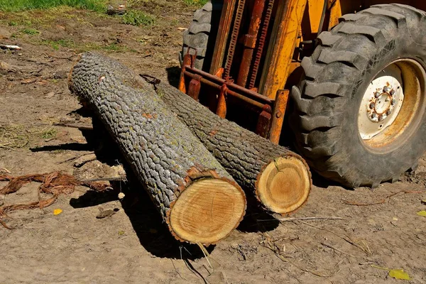 Una Vieja Carretilla Elevadora Recoge Varios Troncos Para Ser Transportados —  Fotos de Stock