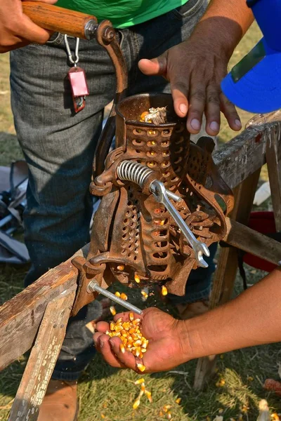 アンティークの手から落ちている開いた手キャッチ トウモロコシの穀粒運営殻をむく人 — ストック写真