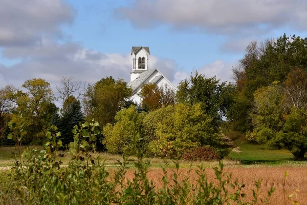 Beyaz Bir Kilisenin Çan Kulesi Ağaçlar Bir Unharvested Soya Alan — Stok fotoğraf