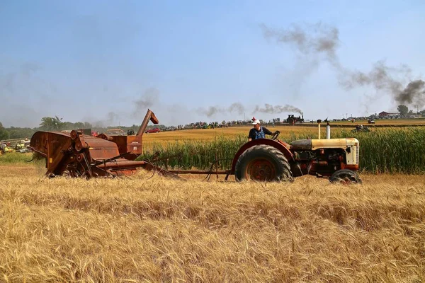 Rollag ミネソタ州 2017 古いケース トラクター引きレース国際コンバイン収穫小麦の Rollag 1000 が出席する各労働日の週末に開催された毎年恒例の Wcstr ファーム — ストック写真