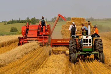 Rollag, Minnesota, 2 Eylül 2017: Oliver 1650 traktör ve New Holland baler yıllık Wcstr çiftlikte kullanarak saman balyalama bir alan gösteri göstermek nerede 1000 katılmak her İşçi Bayramı hafta sonu düzenlenen Rollag.