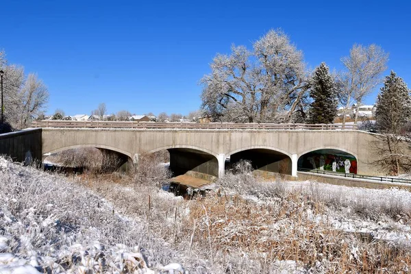 Седой Мороз Снегопад Покрывают Деревья Растения Бетонным Мостом Заднем Плане — стоковое фото