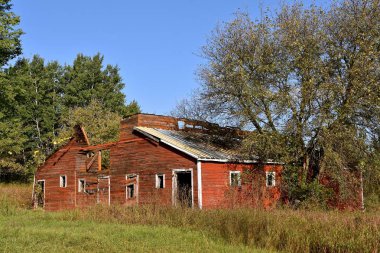 Pat çatı eksik eski kırmızı ahır bir bakıma muhtaç durumda. 