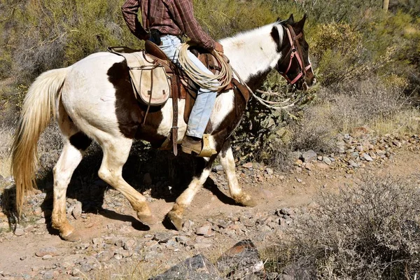 Een Cowboy Rijdt Zijn Paard Onderaan Een Rotsachtige Trail — Stockfoto