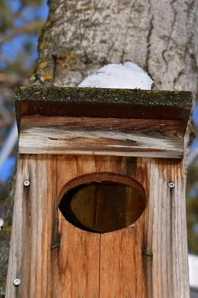 Kar Bir Yığın Bir Ahşap Ördek Yuva Çatıda Bahar Tezcan — Stok fotoğraf