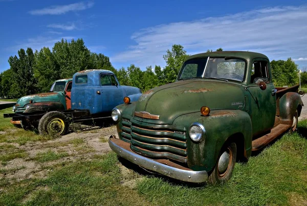 Hawley Minnesota Agosto 2017 Velhos Captadores Dos Anos São Chevrolets — Fotografia de Stock