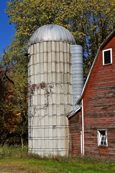 An old stave silo covered with vines stands adjacent to a red hip roofed barn.