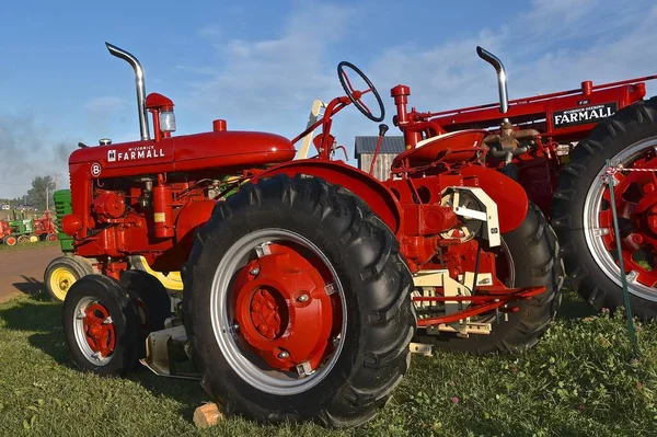 미네소타주 2019 흔들리는 Wcstr 농장의 행사에 전시되어 — 스톡 사진