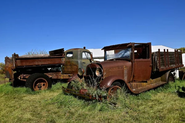 Plusieurs Vieux Camions Rouillés Récupérés Sont Laissés Dans Dépôt Ferraille — Photo