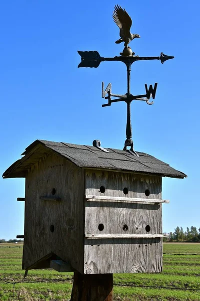 Een Groot Oud Verweerd Houten Appartement Vogelhuisje Voor Marters Versierd — Stockfoto