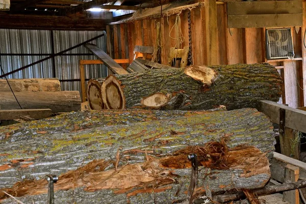 Huge Logs Piles Wait Cut Dimensional Lumber Old Steam Powered — 스톡 사진