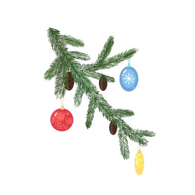 Fir tree branch, isolated on white background. Christmas tree. Vector illustration.