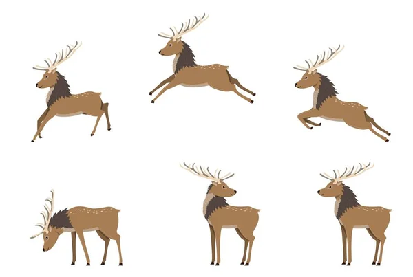 一组戴礼帽的鹿摆姿势 有扁平卡通风格鹿角的可爱鹿群 圣诞和新年装饰元素 孤立的矢量说明 — 图库矢量图片