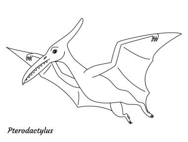 Renkli sayfa ana hatları Pterodactylus dinozoru. Vektör illüstrasyonu beyaz arkaplanda izole edildi