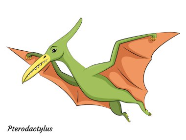 Şirin bir Pterodactylus dino karakteri. Vektör dinazoru parlak renklerde izole etti. Çocuk kitabı, uygulama, reklam tasarımı, etiket veya çıkartma için illüstrasyon.