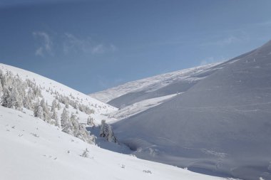 Alp Dağları kar maskeli