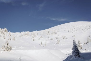 Alp Dağları kar maskeli