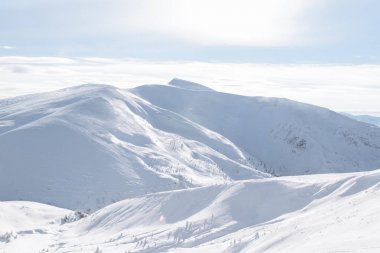 Alp Dağları kar maskeli