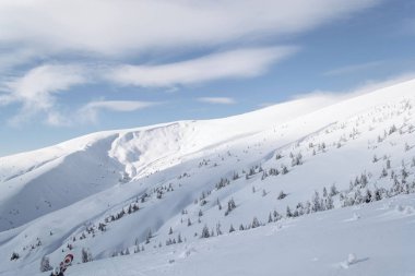 Alp Dağları kar maskeli