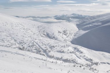 Alp Dağları kar maskeli