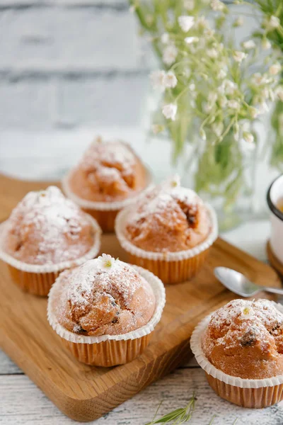 Tetején cukor por, vanília cupcakes — Stock Fotó