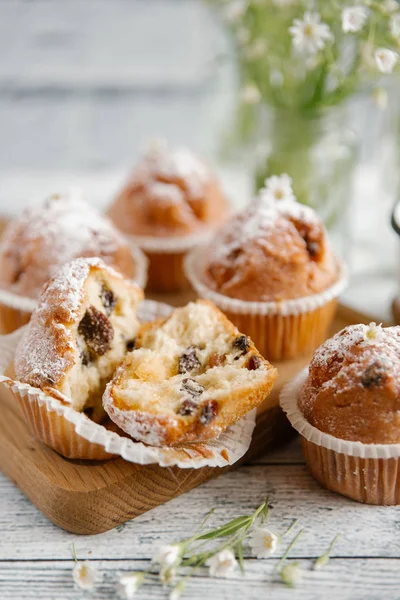 Vanilj muffins toppad med socker pulver — Stockfoto