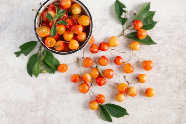 Beyaz kase Rainier kiraz