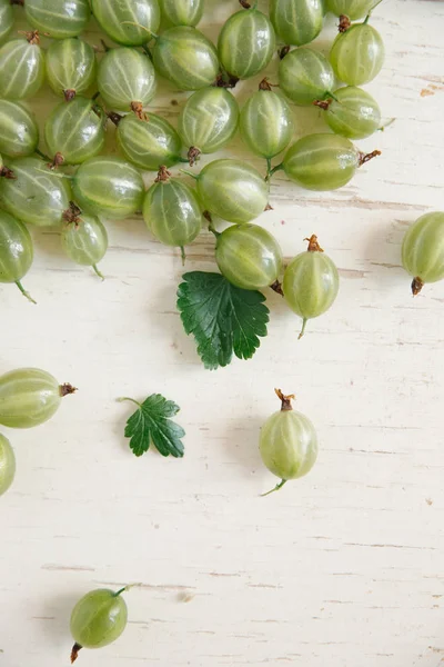 Taze organik bektaşi