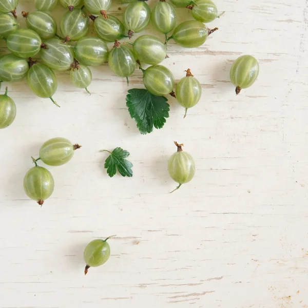 Taze organik bektaşi