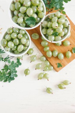 Taze organik bektaşi