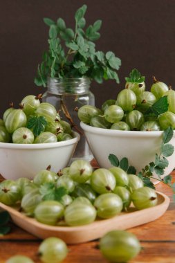 Taze lezzetli bektaşi 