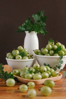 Organik taze bektaşi