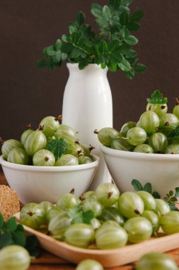 Taze organik bektaşi 